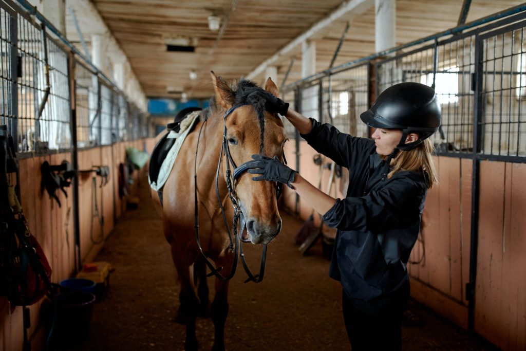 Femme caressant un cheval dans un centre équestre